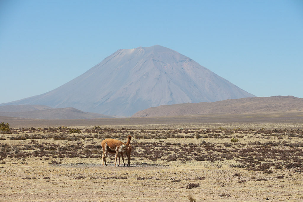 Viaggio in Perù, Colca Canyon