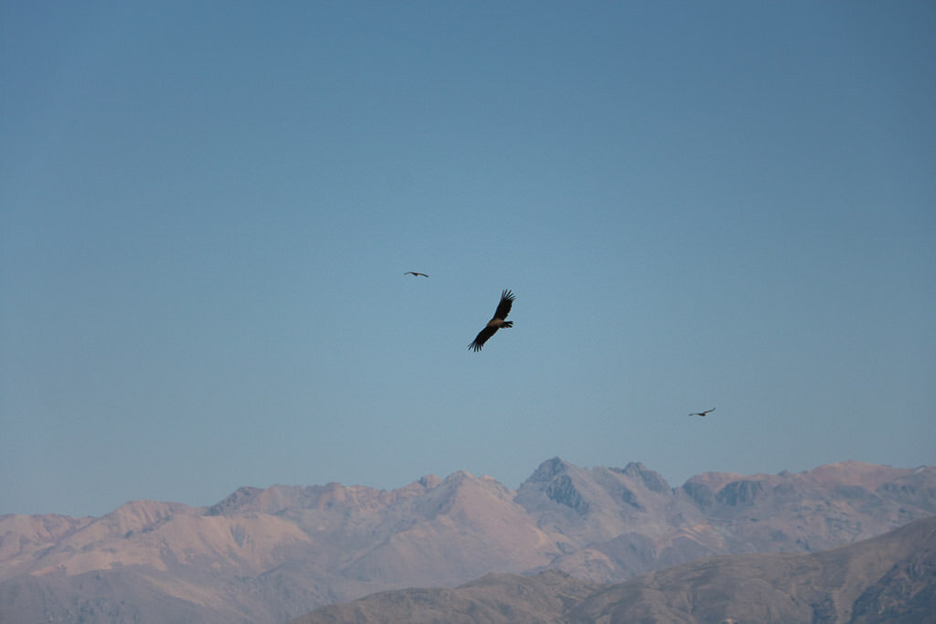 Viaggio in Perù, Colca Canyon