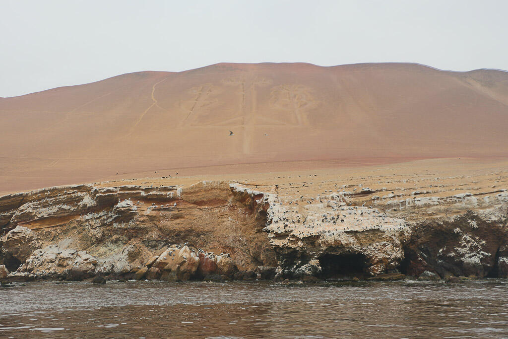 Viaggio in Perù, Paracas